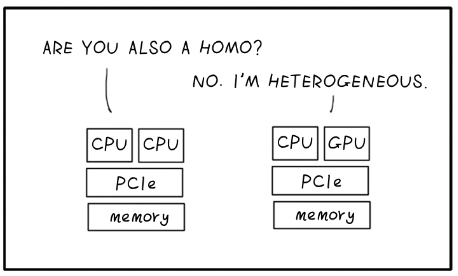 Homo